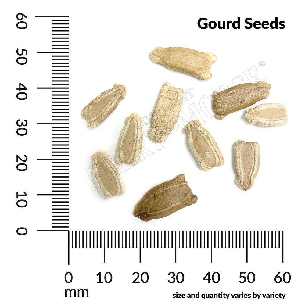Gourd seed spill and measurement